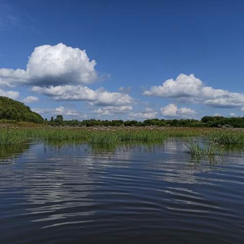Photo #9372247