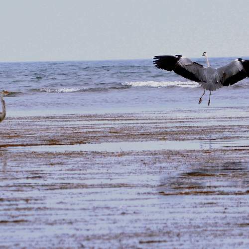 Photo #9373107