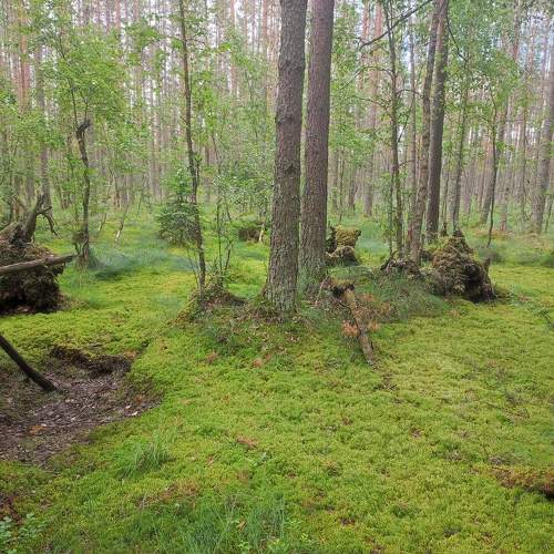 Photo #9373219