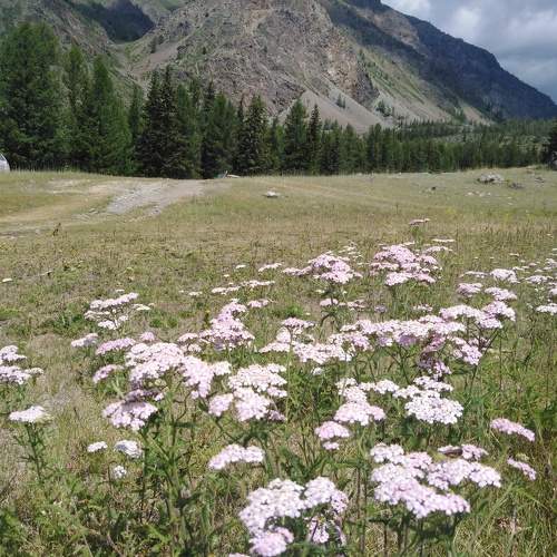 Photo #9373670