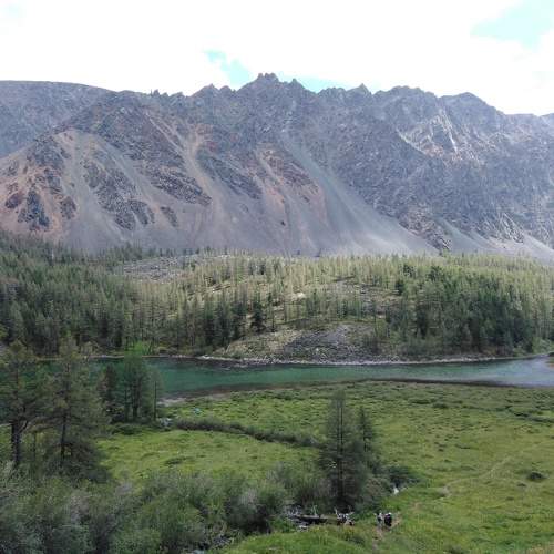 Photo #9373683