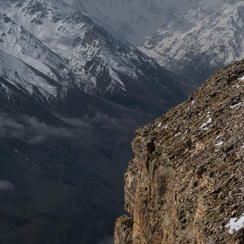 Photo #9373933