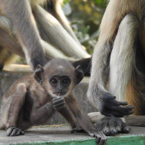 Photo #9374709