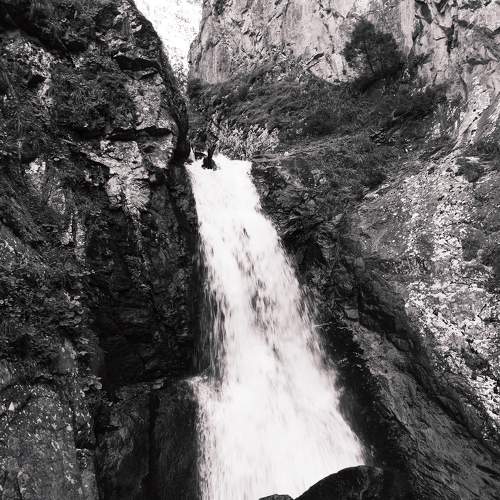 Photo #9375274