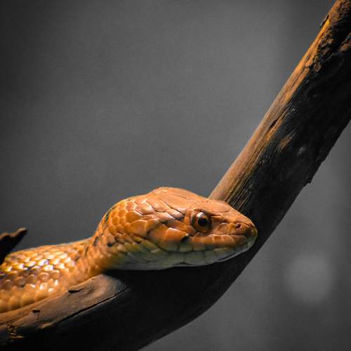 Photo #9375354