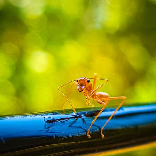 Photo #9375358