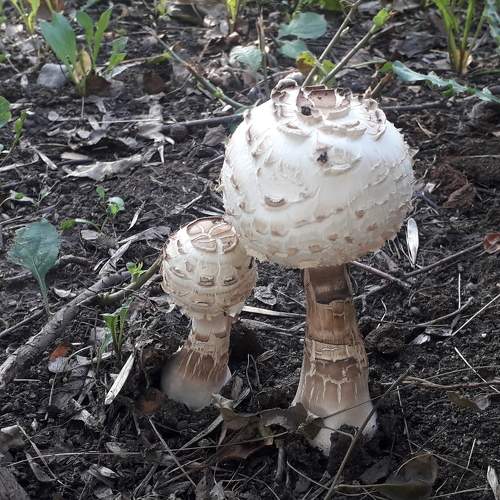 Photo #9375768