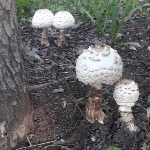 Photo #9375789