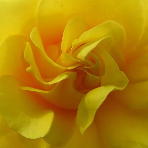 Photo #9375917