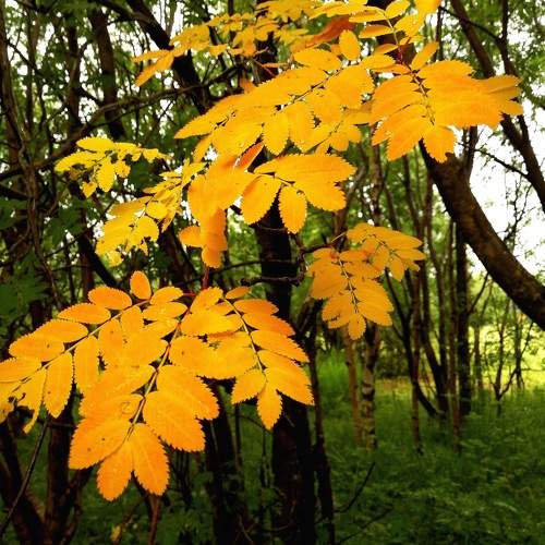 Photo #9375935