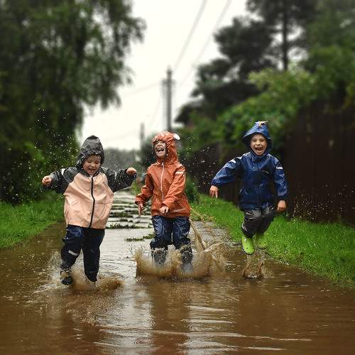 Photo #9376720