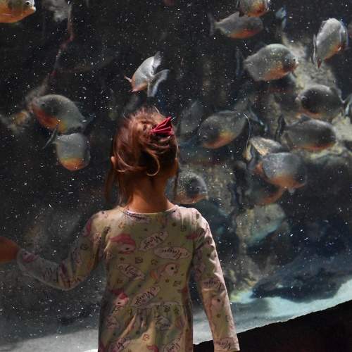 Photo #9377015
