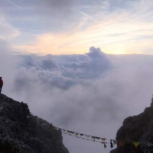 Photo #9377082