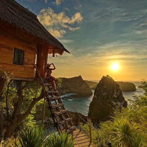 Photo #9377806
