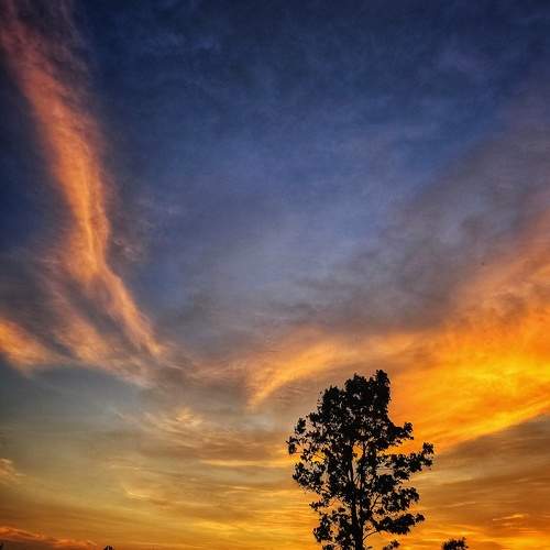 Photo #9378091