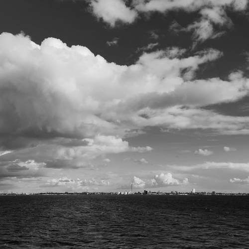 Photo #9378744