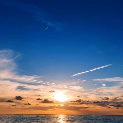 Photo #9378747