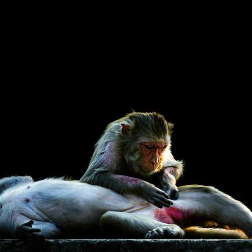 Photo #9379087