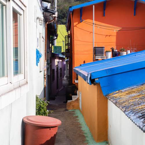 Photo #9380656