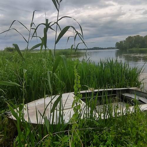 Photo #9381463