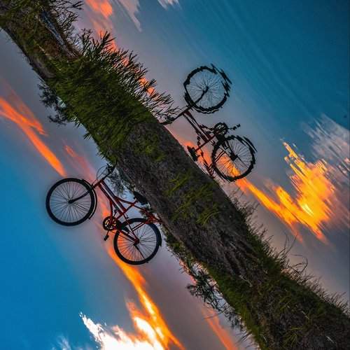 Photo #9382137