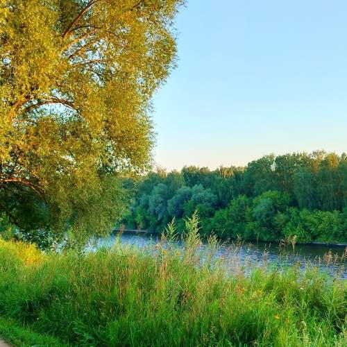 Photo #9382324