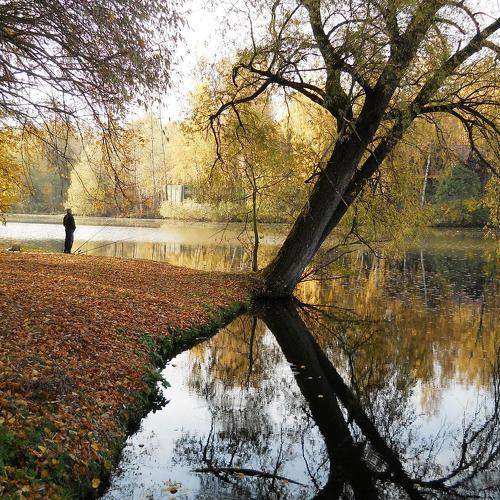 Photo #9382415
