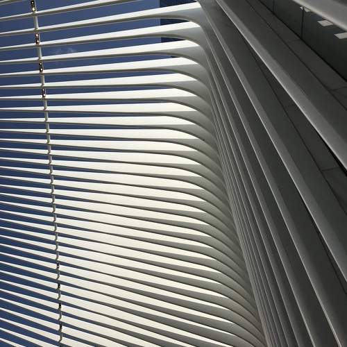 Photo #9383758