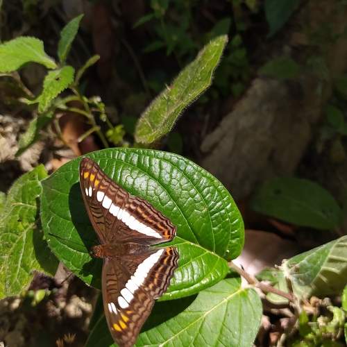 Photo #9385094