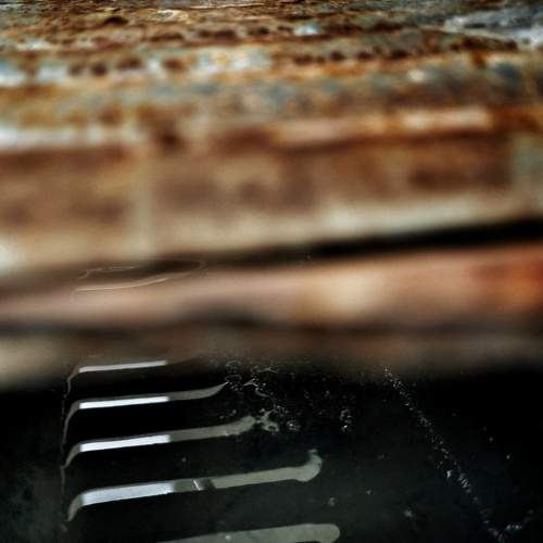 Photo #9385300