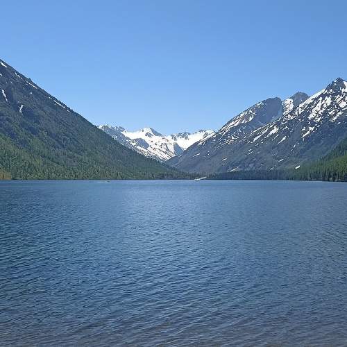Photo #9385916