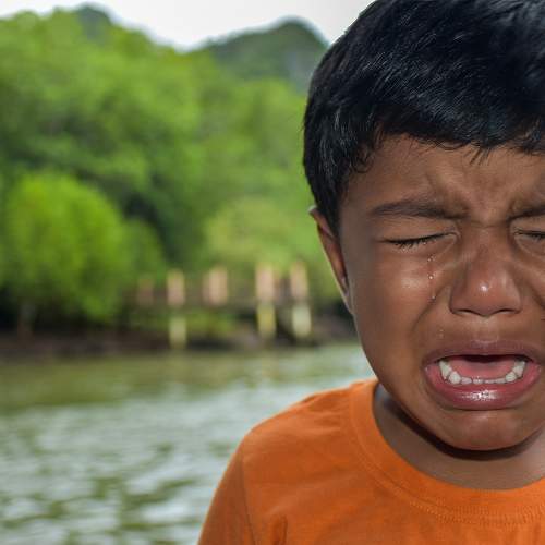 Photo #9386052