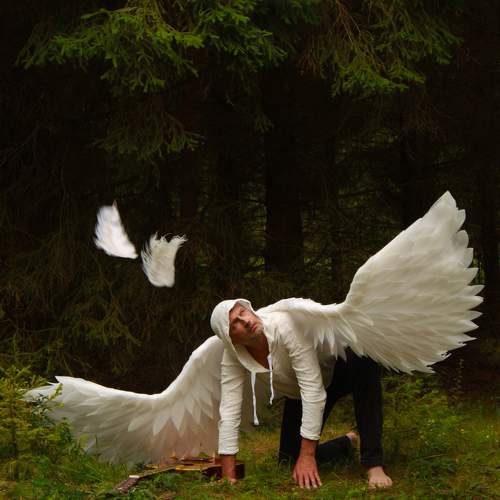 Photo #9386079
