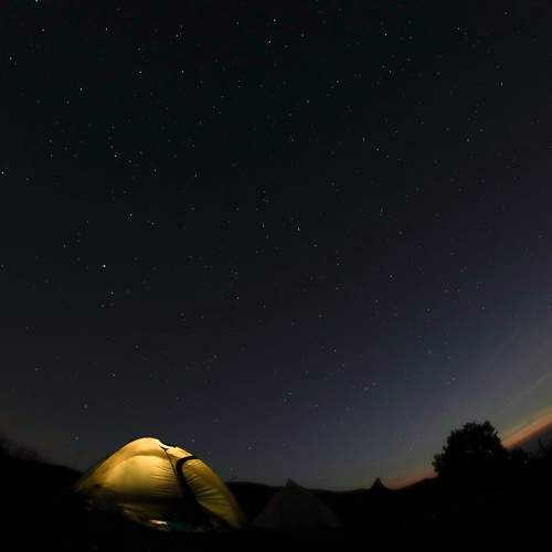 Photo #9386411