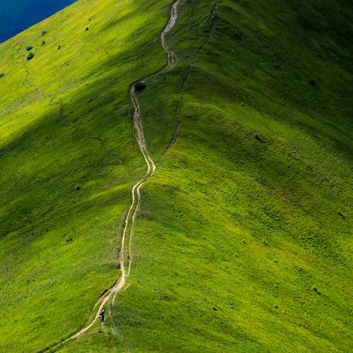 Photo #9386432