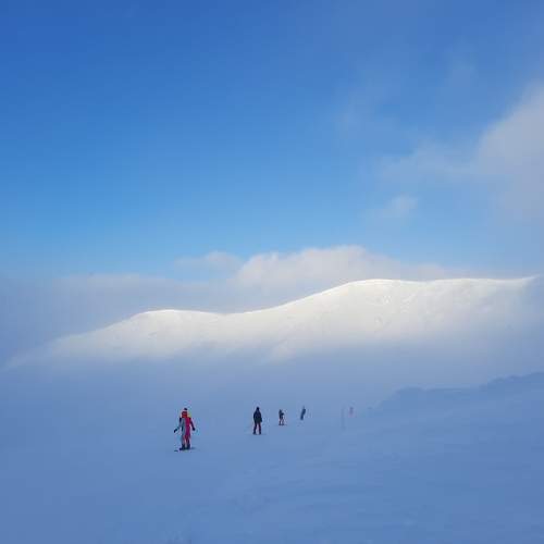 Photo #9387488
