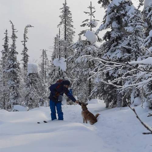 Photo #9387494