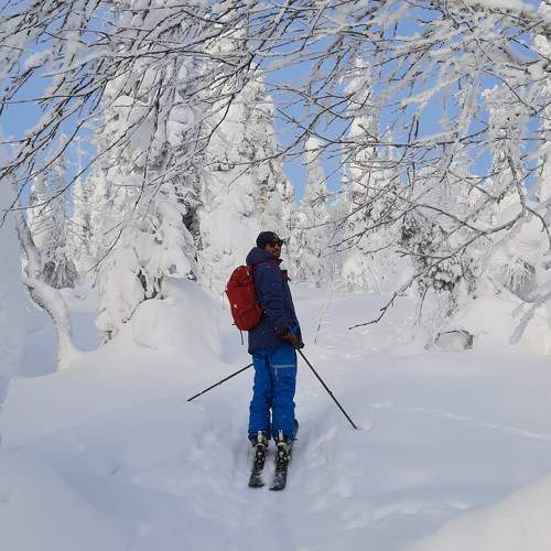 Photo #9387495
