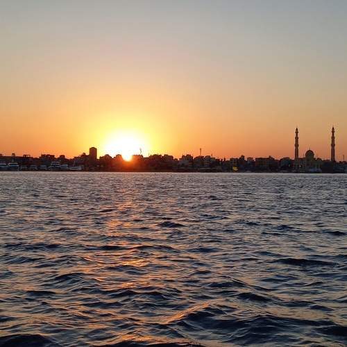 Photo #9388515