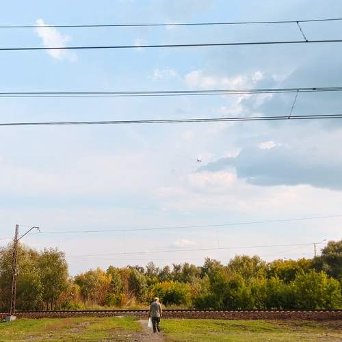 Photo #9388522