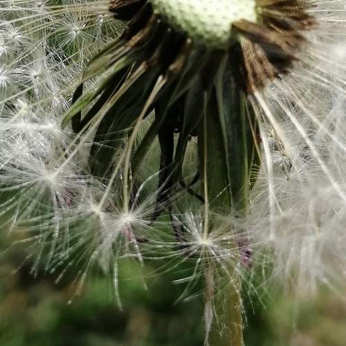 Photo #9389153