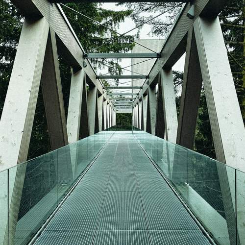 Photo #9389154
