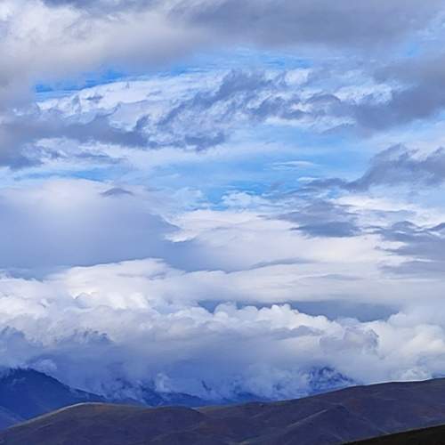 Photo #9389318