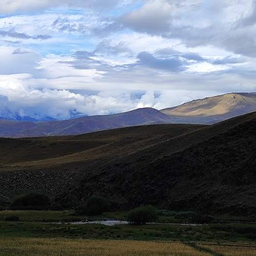 Photo #9389340