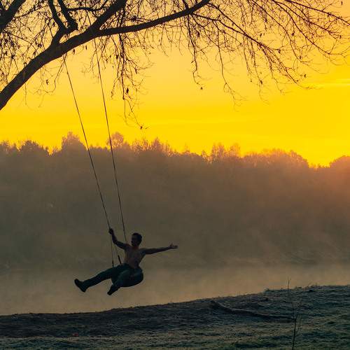 Photo #9389645
