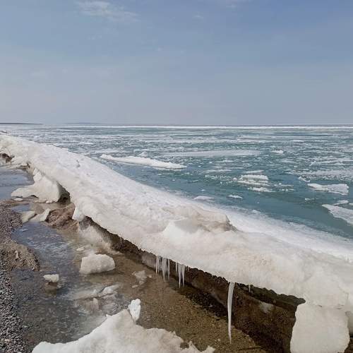 Photo #9390385