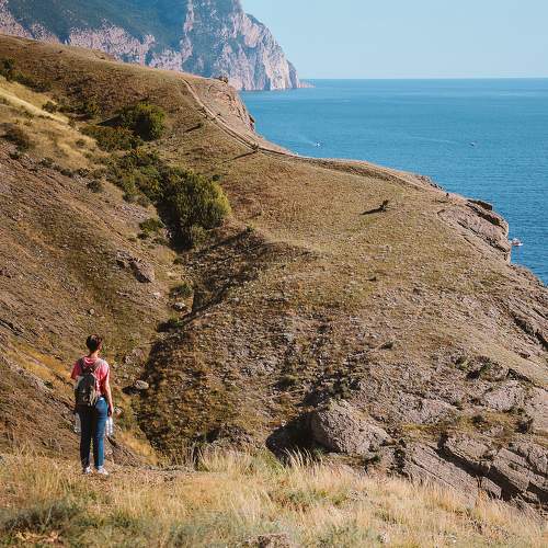 Photo #9390874