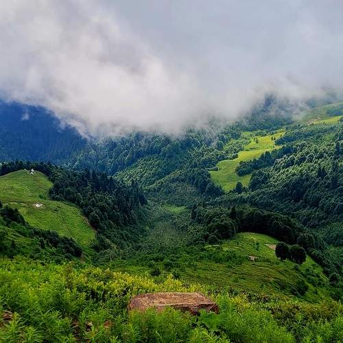 Photo #9390881