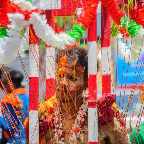 Photo #9391124