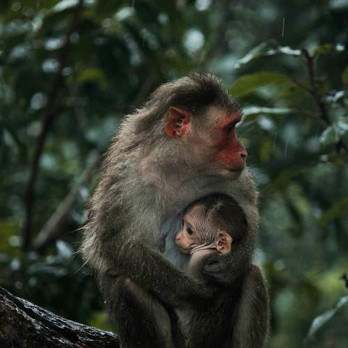 Photo #9391827